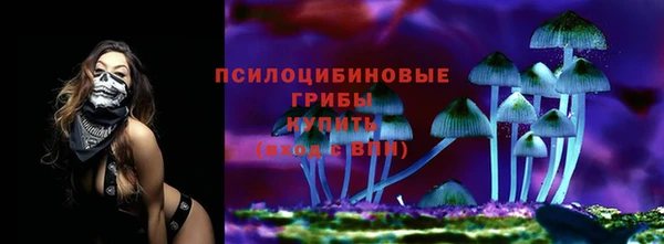 первитин Пестово