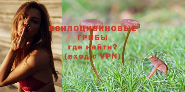 амф Конаково