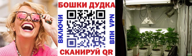 kraken онион сайты даркнета формула Канабис индика купить наркоту Кудрово